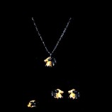 Conjunto marca carrera carrera