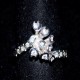Sortija de oro blanco y brillantes.